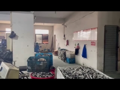 เจ้อเจียง ประเทศจีน แถลงข่าว